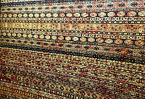 Modern piece carpets - a style that will transform your interior