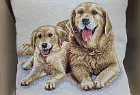 For animal lovers - softness that will tame you