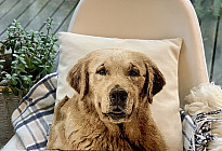 For animal lovers - softness that will tame you