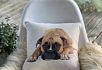 For animal lovers - softness that will tame you