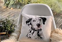 For animal lovers - softness that will tame you