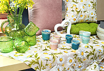 Spring flowers full of colors and fragrances