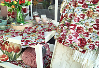 Spring flowers full of colors and fragrances