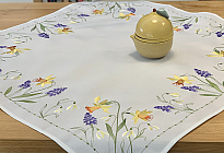 Spring flowers full of colors and fragrances