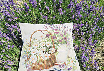 A lavender world full of fragrance and elegance
