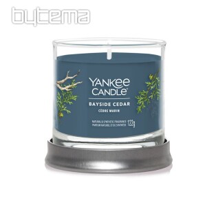 candle YANKEE CANDLE fragrance BAYSIDE CEDAR TUMBER SMALL