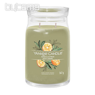 candle YANKEE CANDLE scent SAGE and CITRUS GLASS MEDIUM 2 wicks