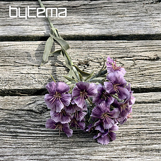 PURPLE CARNATION