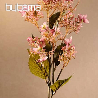 WILD HYDRANGEA PINK