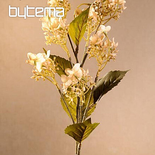 WILD HYDRANGEA CREAM