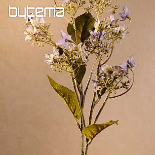 WILD HYDRANGEA BLUE