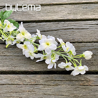 DELPHINIUM WHITE