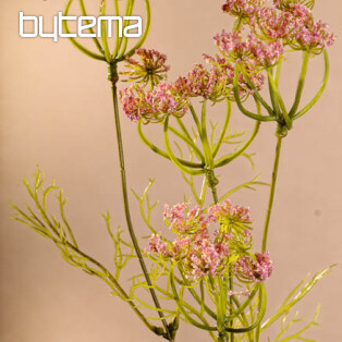 Pink dill 80 cm