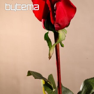 Rose bud red 70 cm