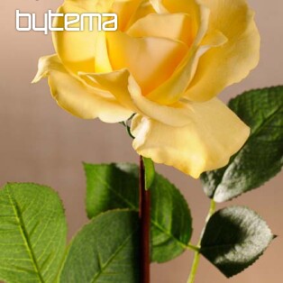 Yellow rose 67 cm