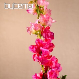 Delphinium burgundy 79 cm