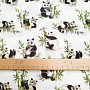 Cotton fabric PANDA