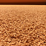 Cut rug SPHINX orange