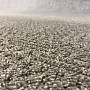 Loop carpet GLOBAL light grey