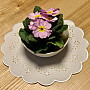 Embroidered tablecloth and oval embossed white FLOWERS