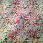 Tapestry fabric TINY FLOWERS