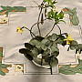 Daffodils embroidered tablecloth