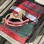 Luxury blanket CHECK GREEN RED