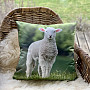 Decorative pillowcase SHEEP