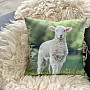 Decorative pillowcase SHEEP