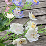 WILD FLOWER PINK