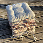 CANVAS HEART SEATS red