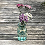 PINK CARNATION