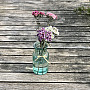 PINK CARNATION