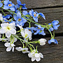 DELPHINIUM WHITE
