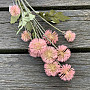 DRY PLASTIC POMPOM PINK