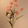 DRY PLASTIC POMPOM PINK