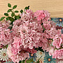 Tapestry placemat DAISY