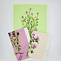 Cotton towels HERBS
