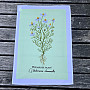 Cotton towels CAMOMILE