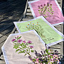 Cotton towels THYME
