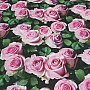 Decorative fabric Rose digital print 3D