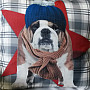 Decorative pillowcase HARRY THE BULLDOG 2