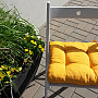 Chair seats EDGAR yellow 201