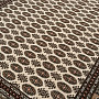 Woolen carpet SAPHIR 95718/107