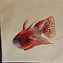 Tapestry cushion cover OCEAN LIFE 2