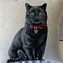 Tapestry cushion cover BLACK CAT