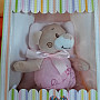 Baby gift set Pink teddy bear