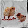 Decorative pillowcase CHICKEN