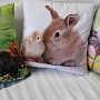 Decorative pillow-case Bunny and chick