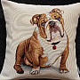 Tapestry pillow-case English Bulldog